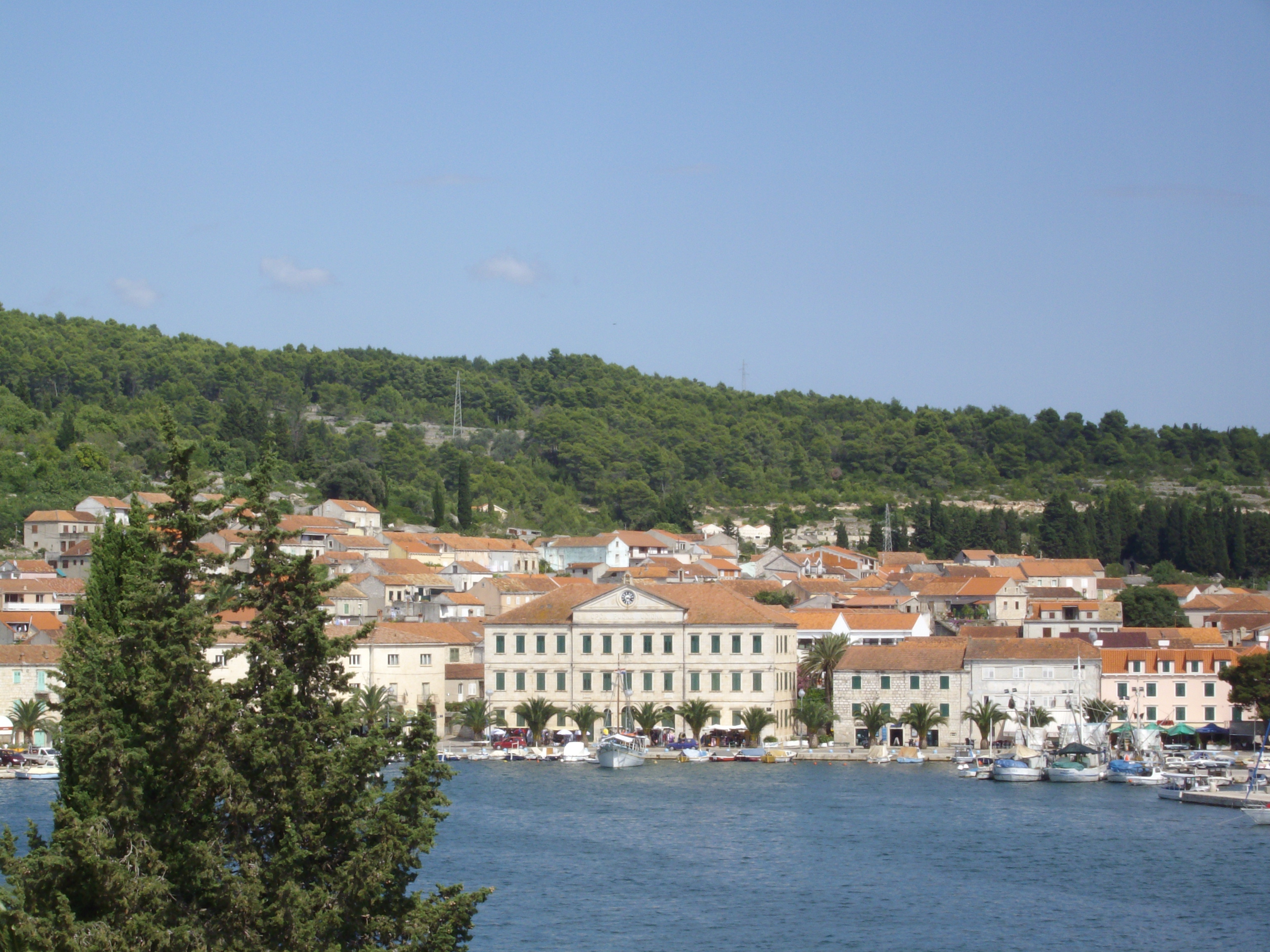IMGP3670.JPG