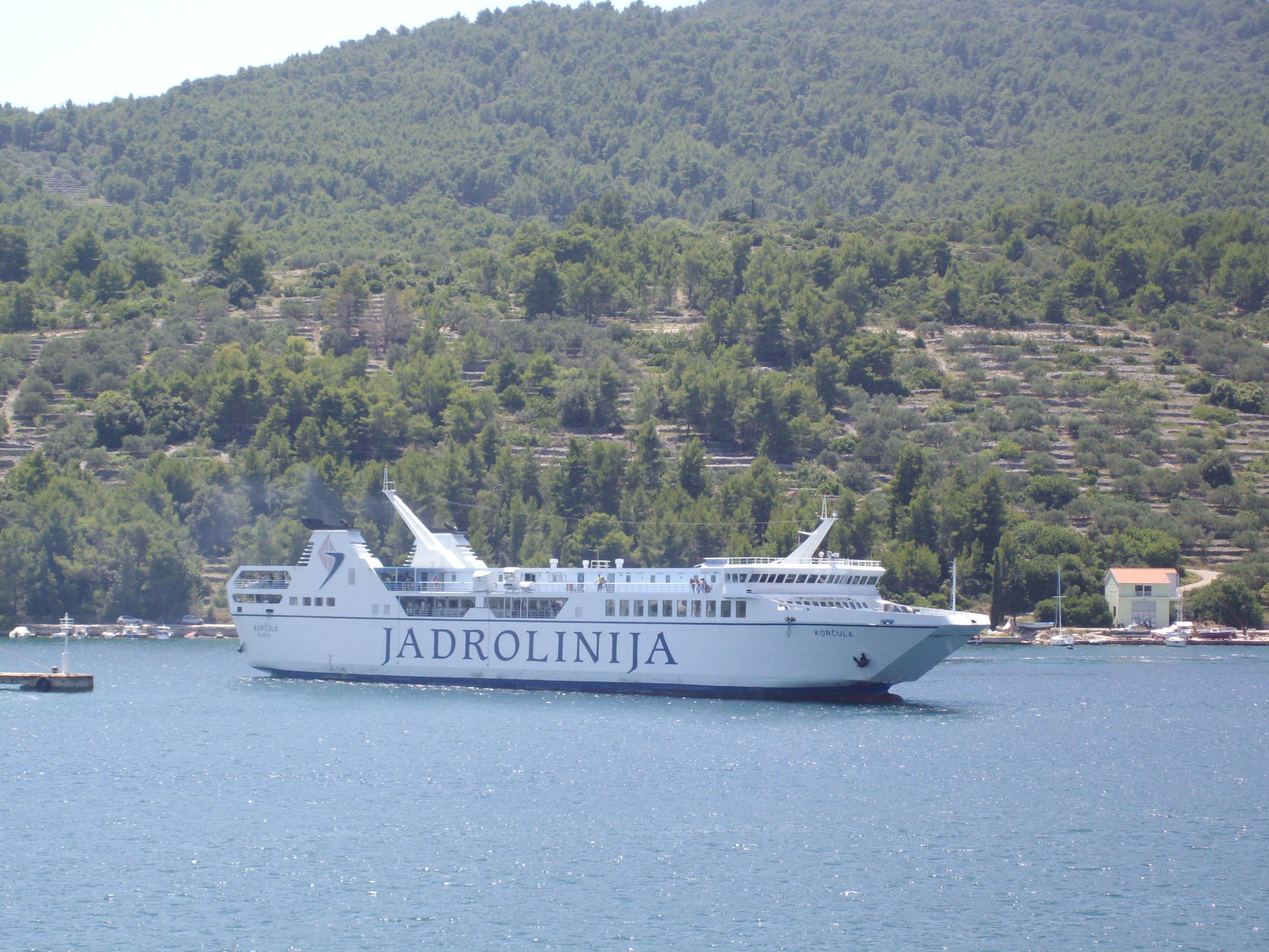 IMGP3681.JPG