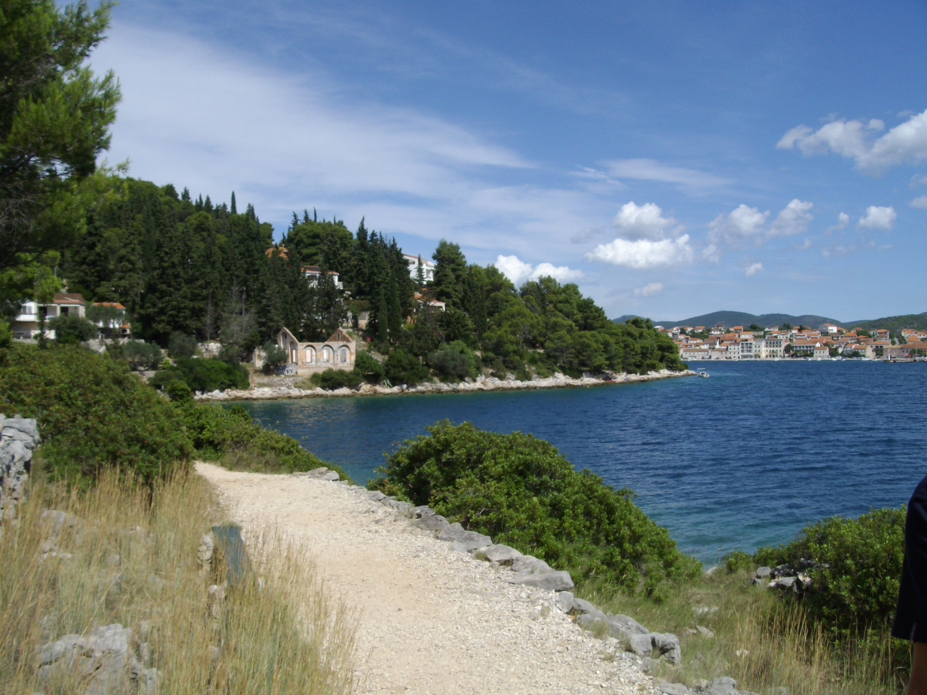 IMGP3712.JPG
