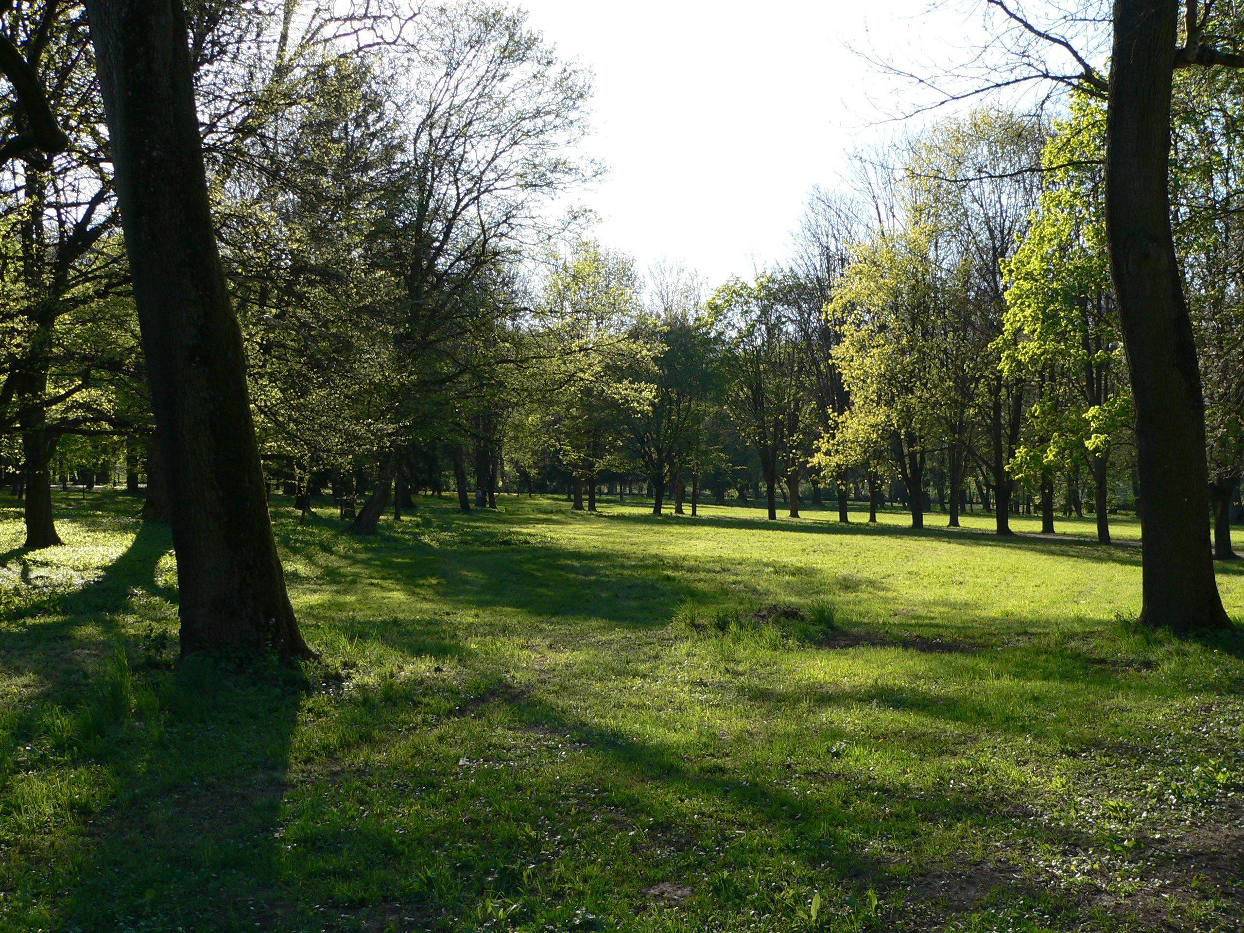 P1050667.JPG