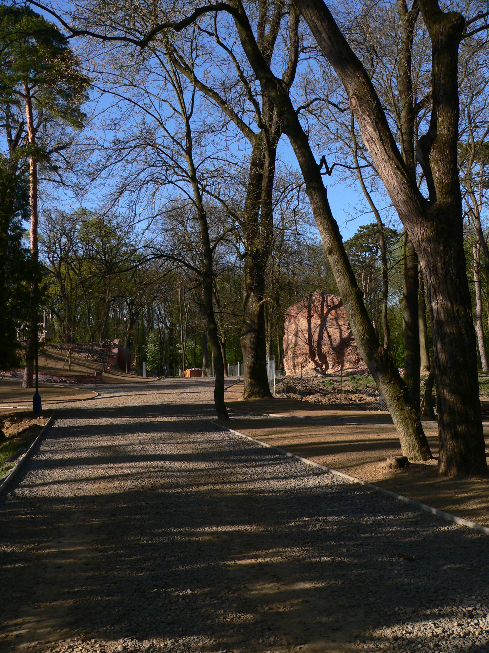 P1050689.JPG